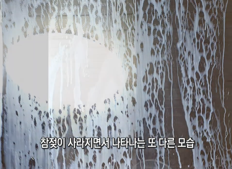 995f95a4c9ed1.png