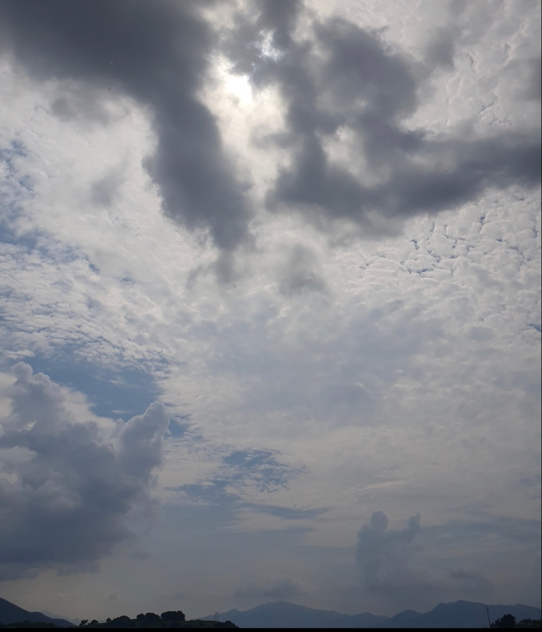 9a690aa1190d0.jpg