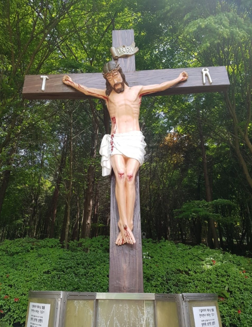9cf324d77f8b7.jpg