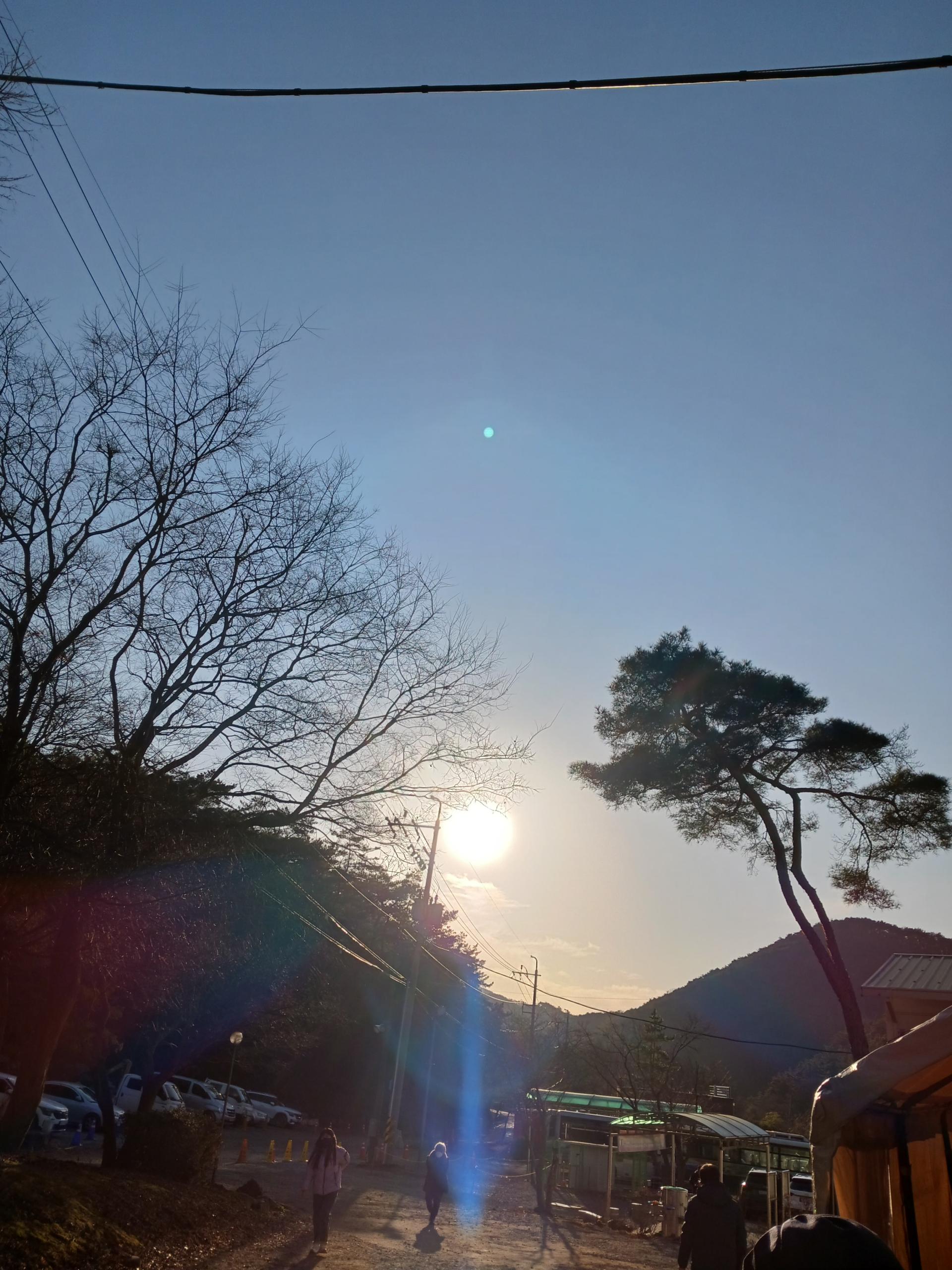 9f7819f12fdcf.jpg