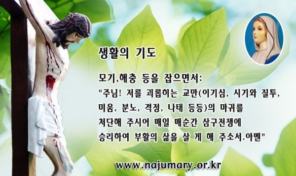 a05fe50e7e762.jpg