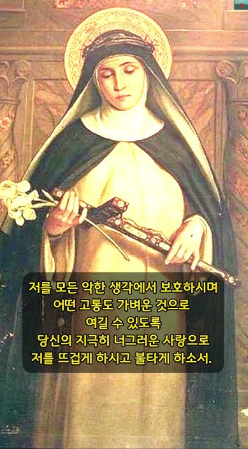 a3144b44e628b.png