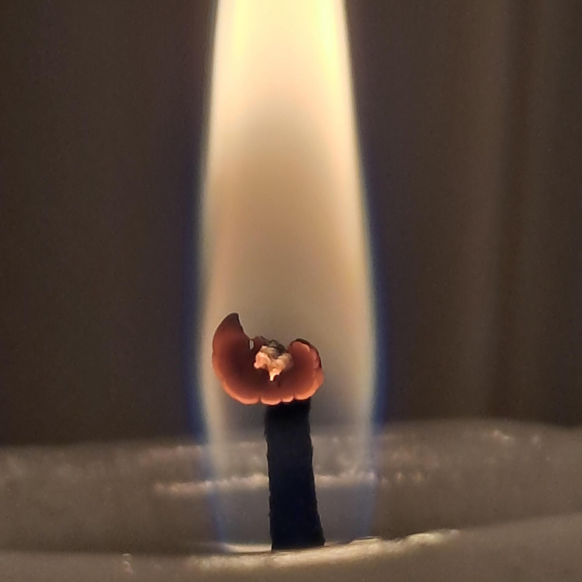 a4259d7b082a7.jpg