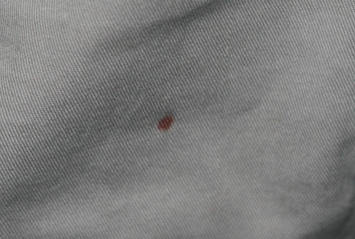 2006년 7월 1일 순례자의 바지 위에 내려오신 성혈