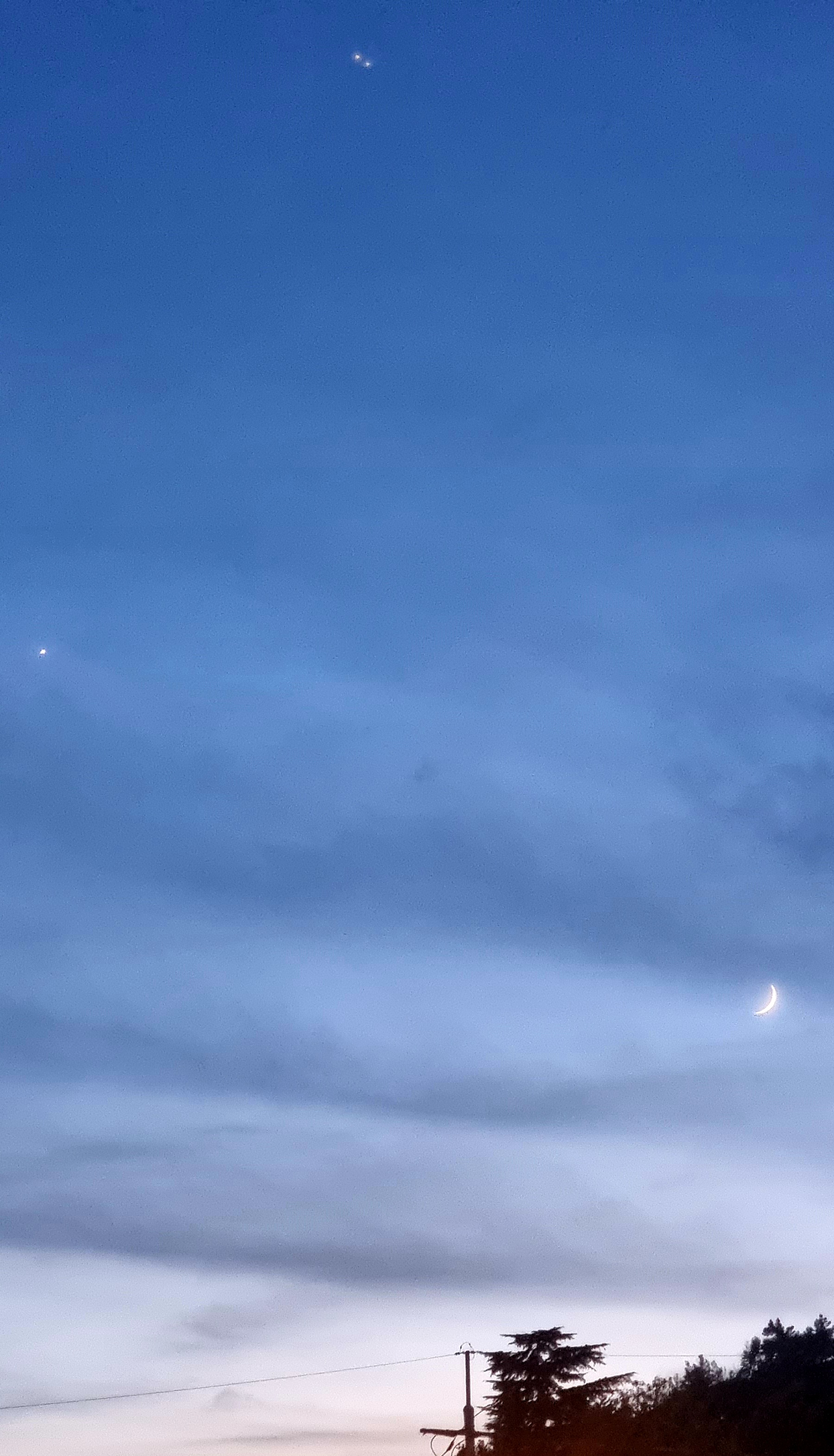 a804cf1a155a7.jpg