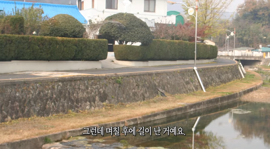 a82e11f5a497c.png