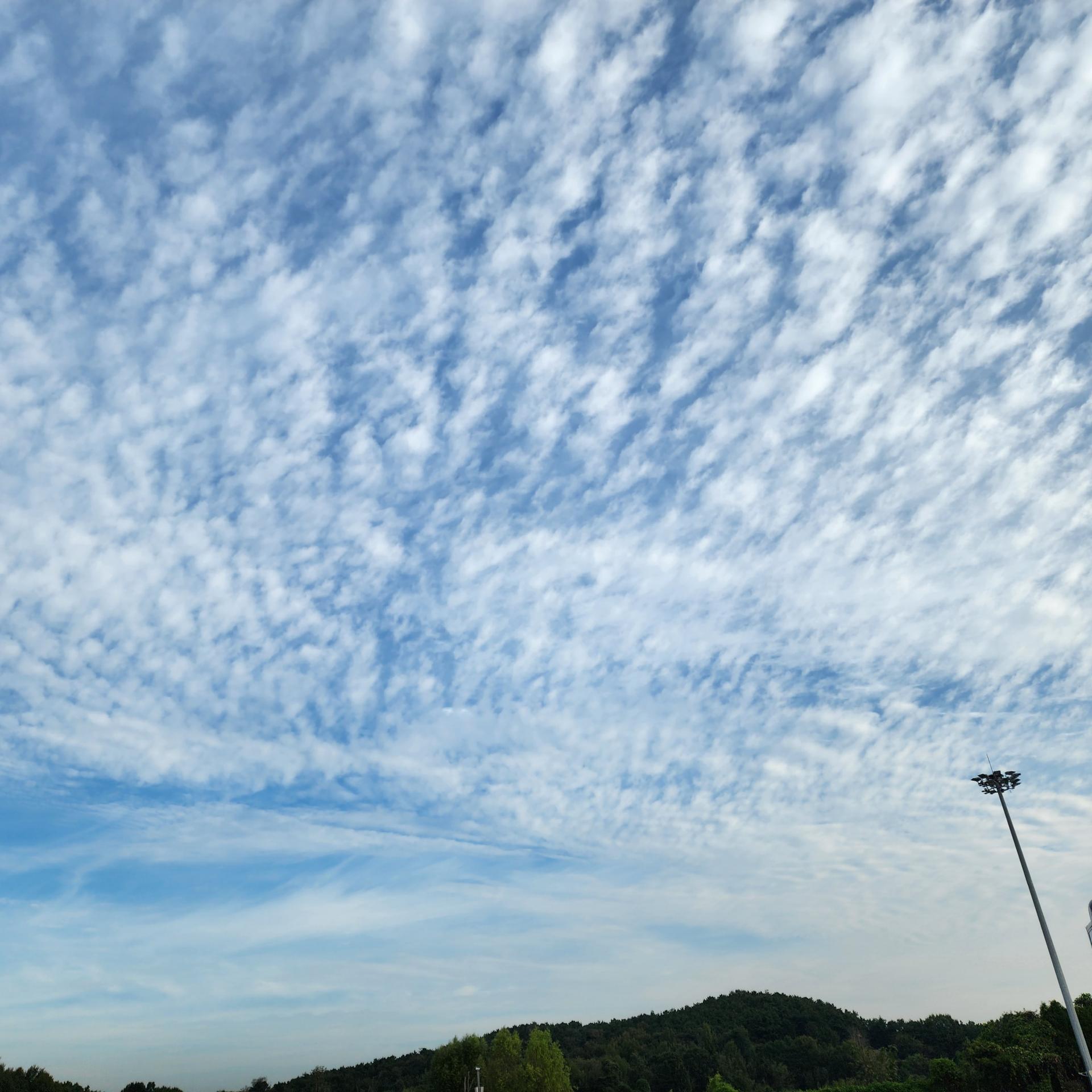 a86e330cd77f9.jpg