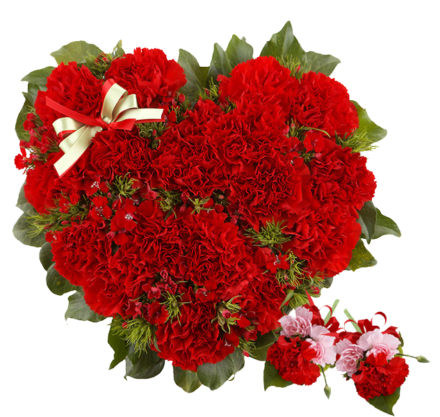 ab1623e7f4bee.png