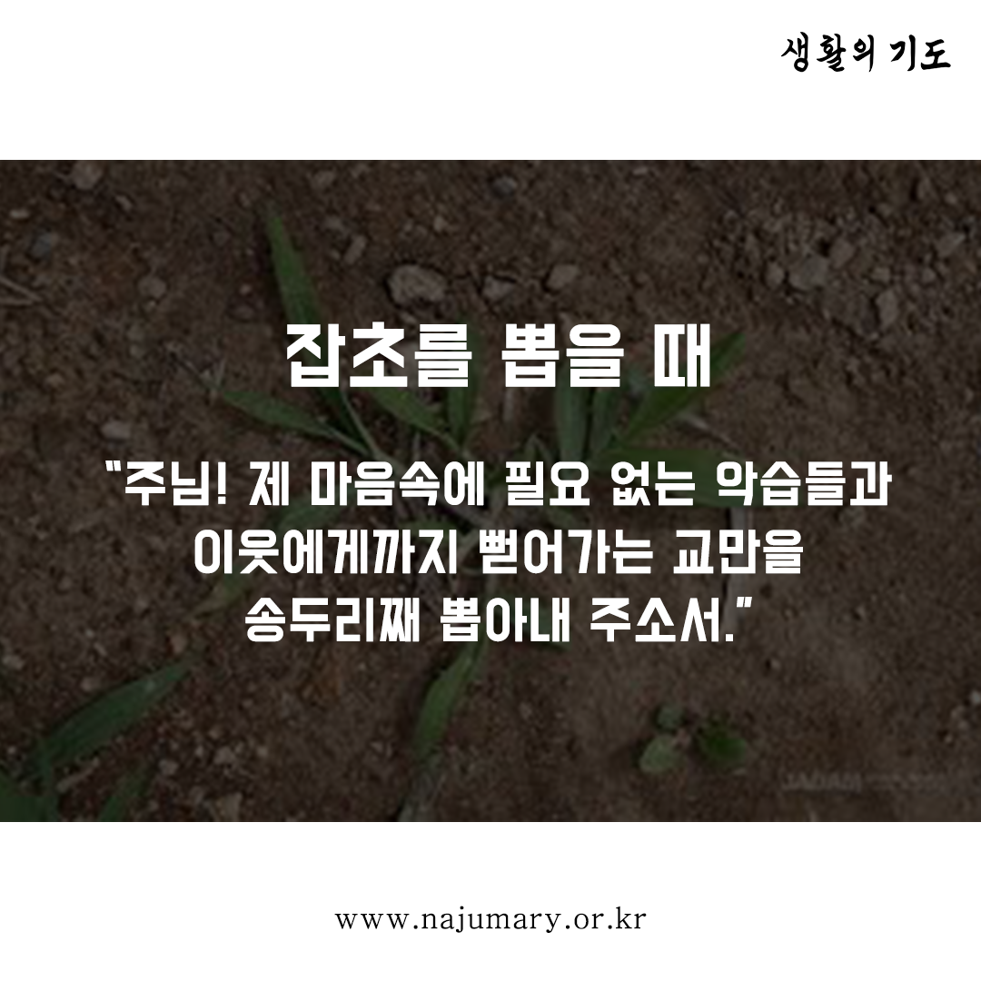 ac050ce42d5a1.png