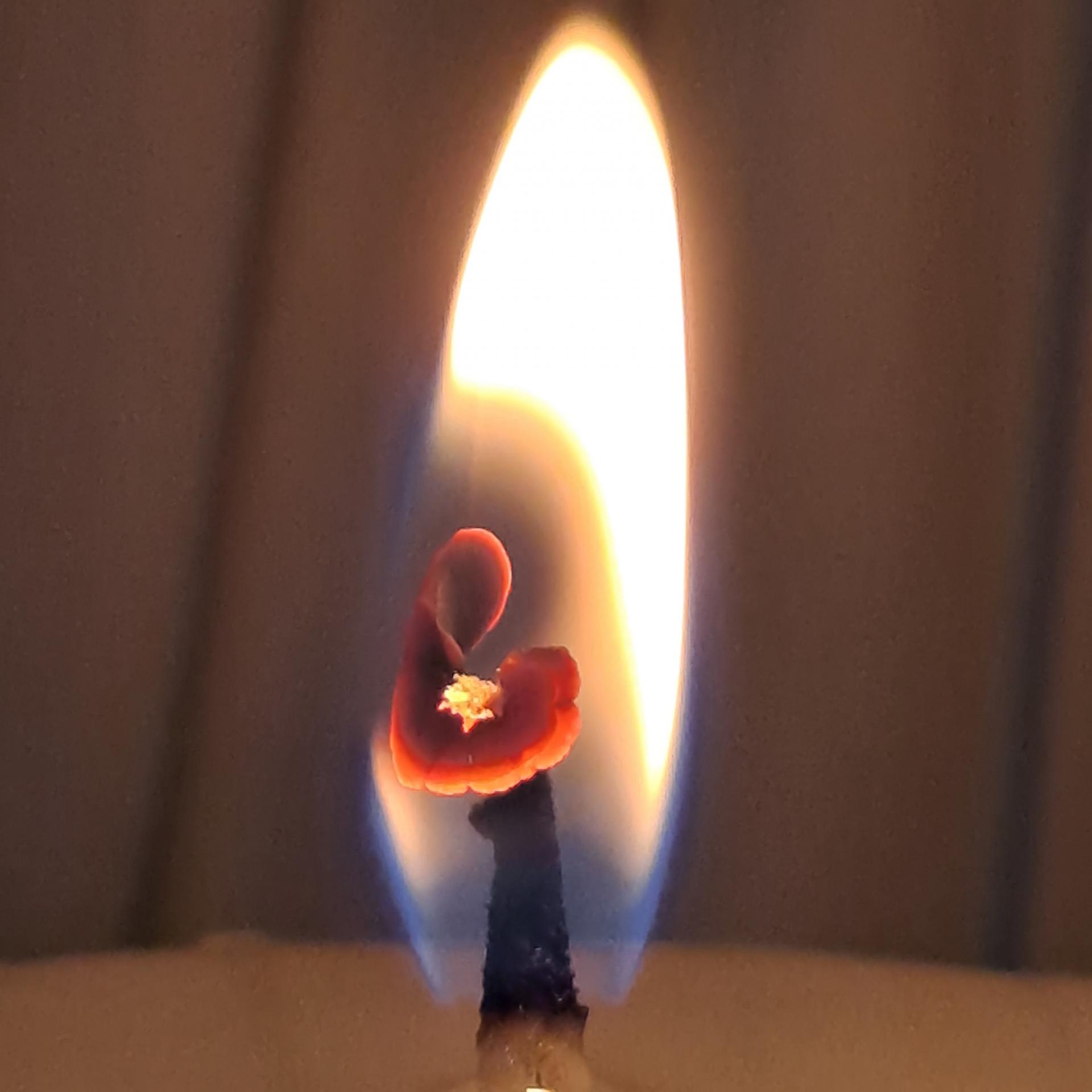 ae2a58c4930db.jpg
