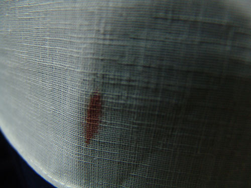 2006년 9월 2일, 순례자의 옷에 내려주신 성혈