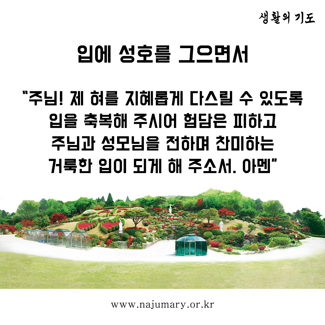 af7420492cd0e.png