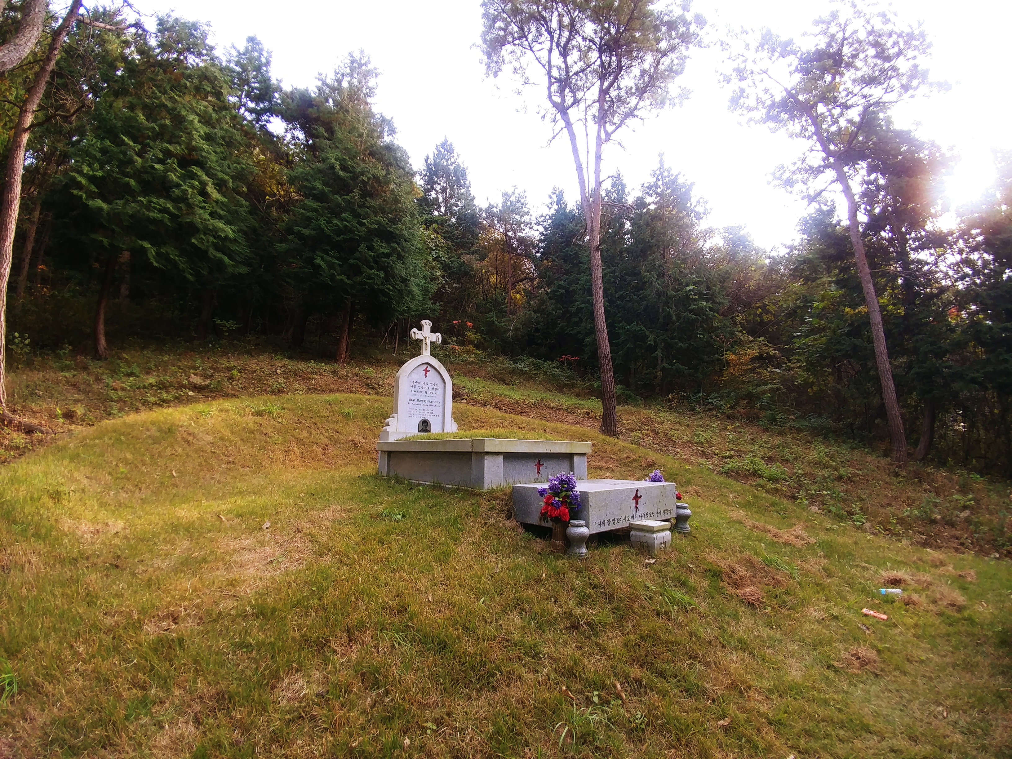 b6355fa457e2d.jpg