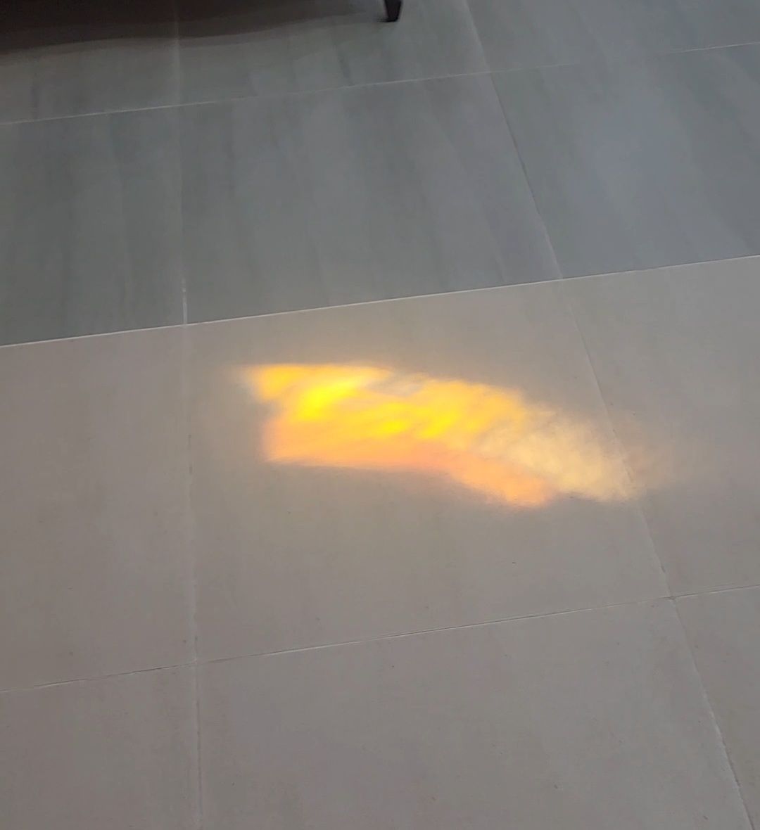 bd0576a9bd26d.jpg
