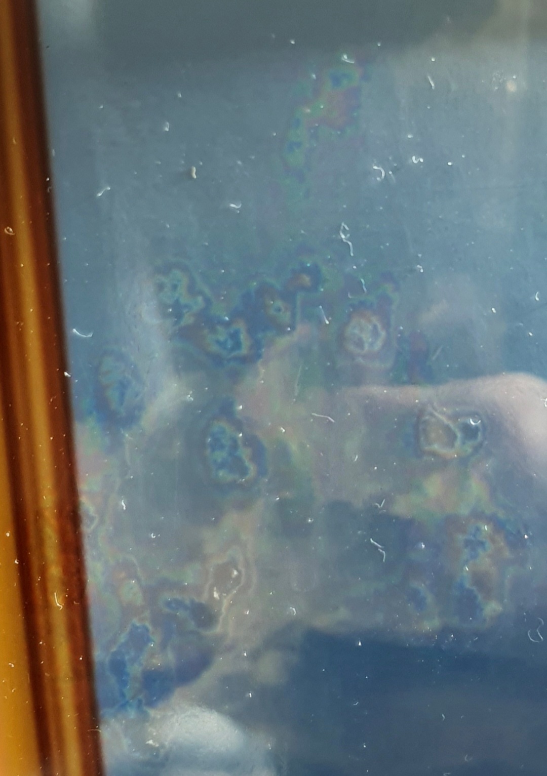 be3c6700ff2cf.jpg