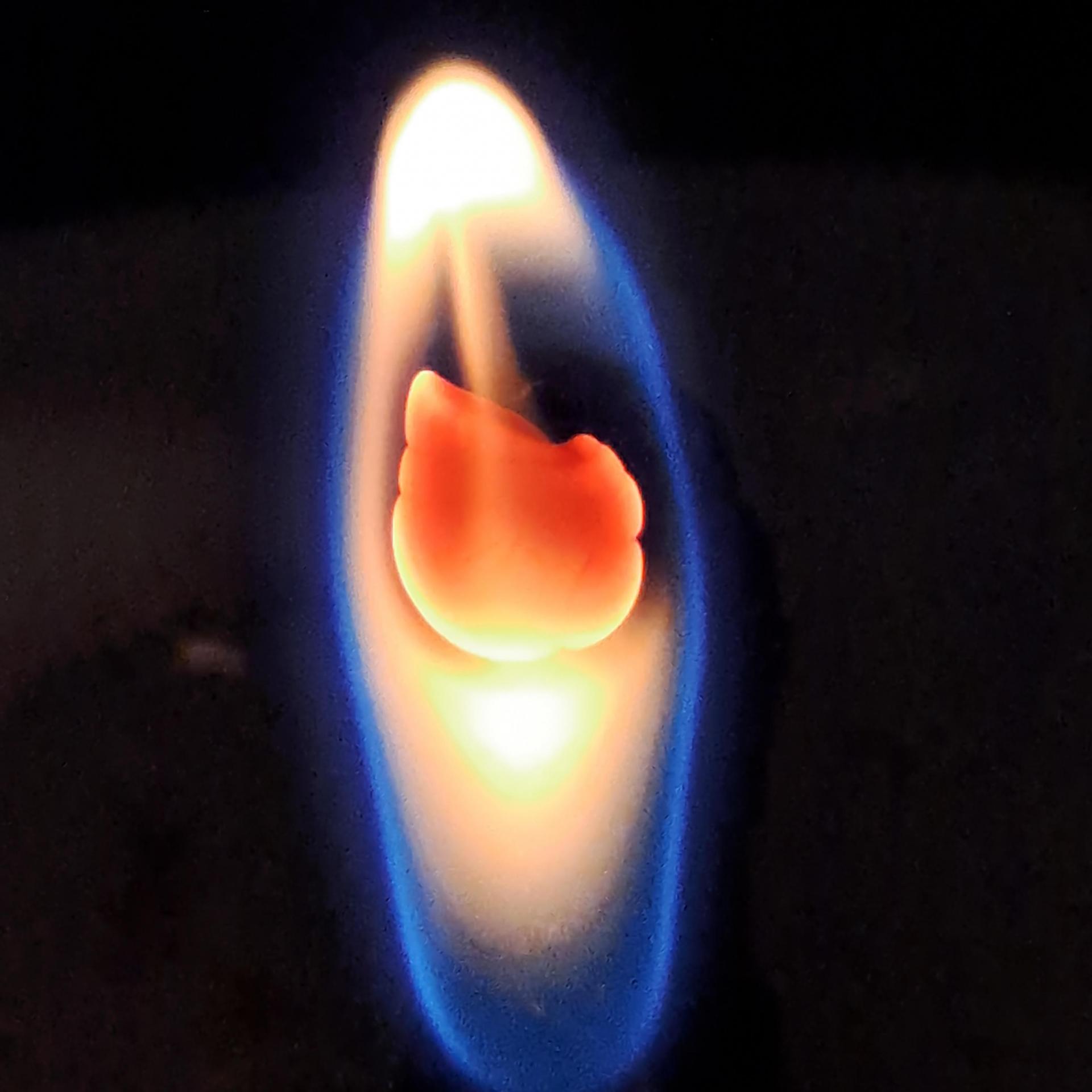 c4dc5dba8e290.jpg