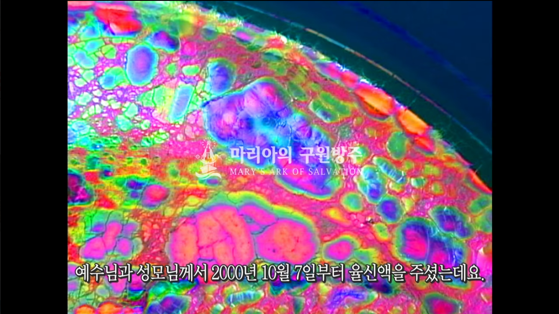 c5b2063e74706.png