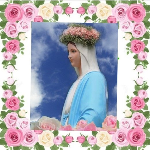 c858dcb892800.png