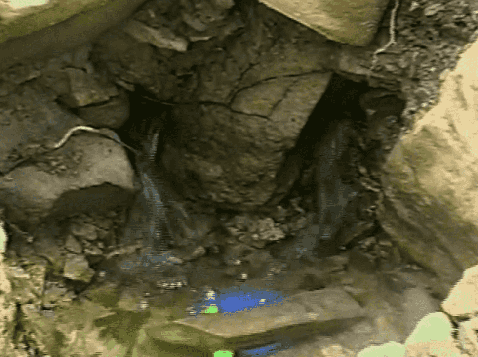 c8f6e9bcd7c98.gif