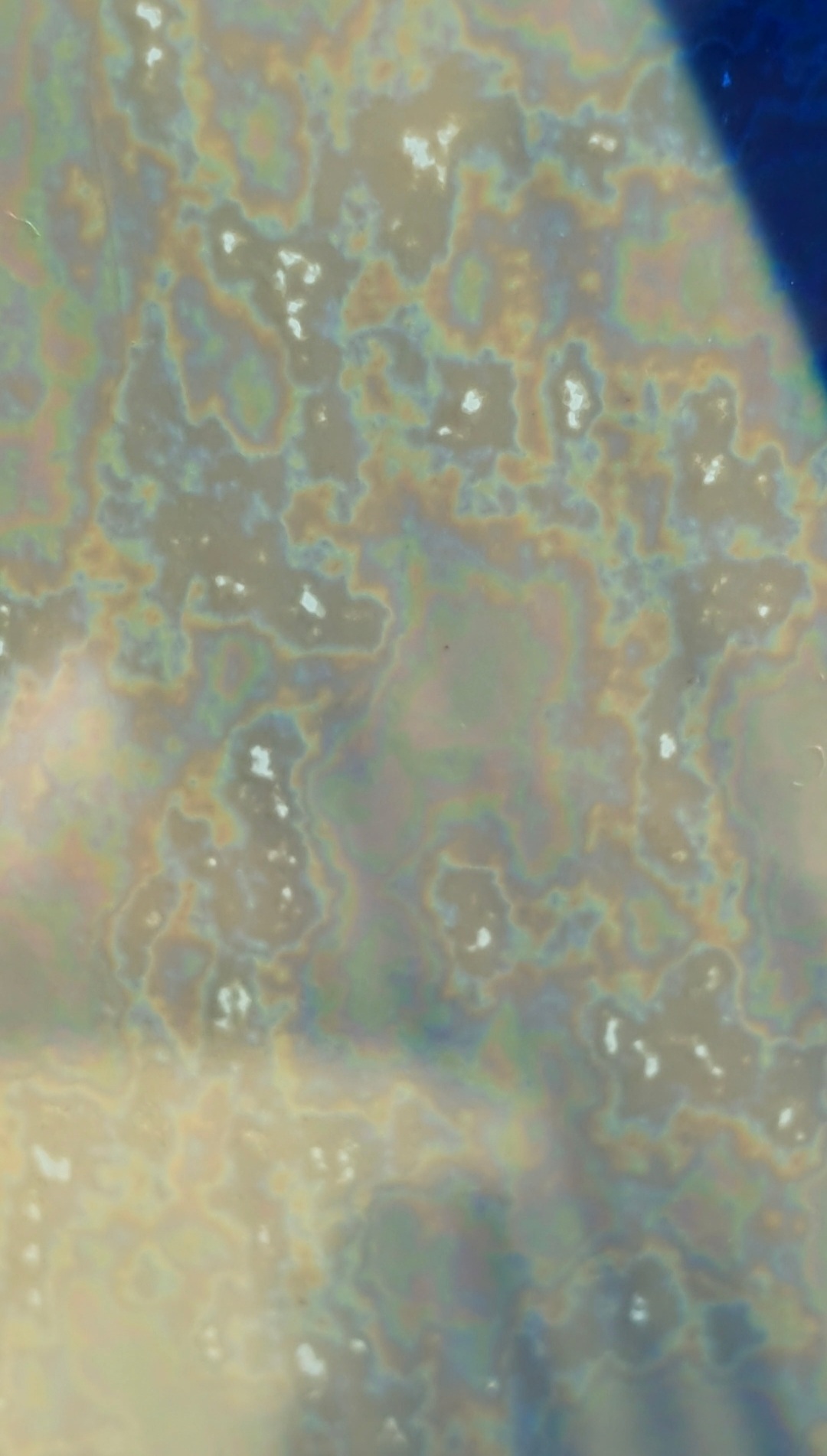 c9338470c7b55.jpg