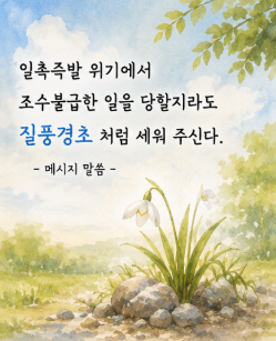 c9ad2bf89389d.png