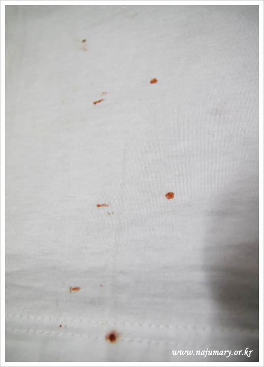 2006년 7월 28일 순례자가 입고 있던 성모님 티셔츠에 많은 성혈을 내려주심