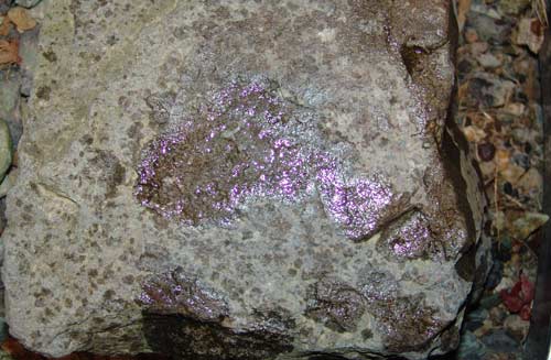 cc7de40ed06d8.jpg