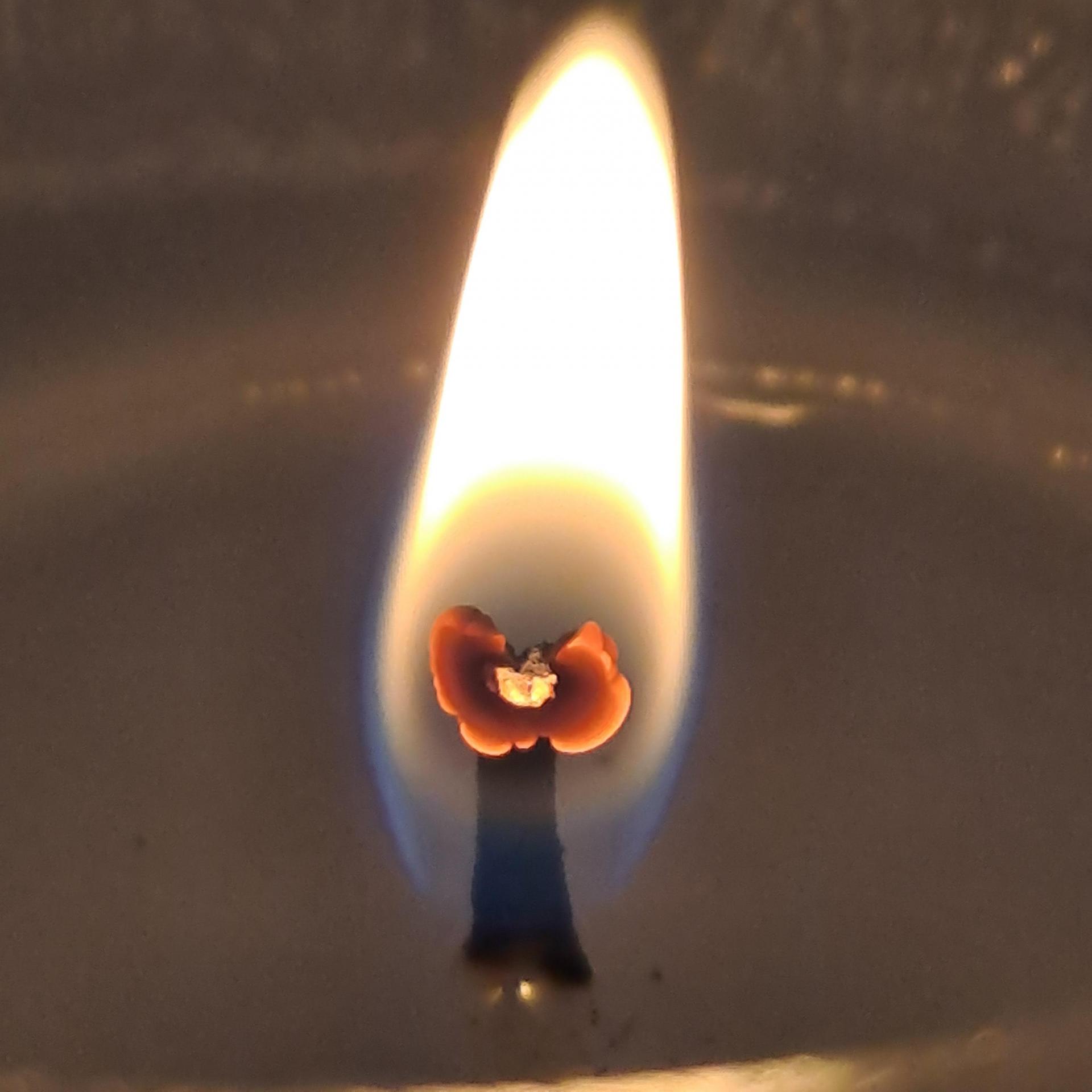 ce6a3c7b75172.jpg