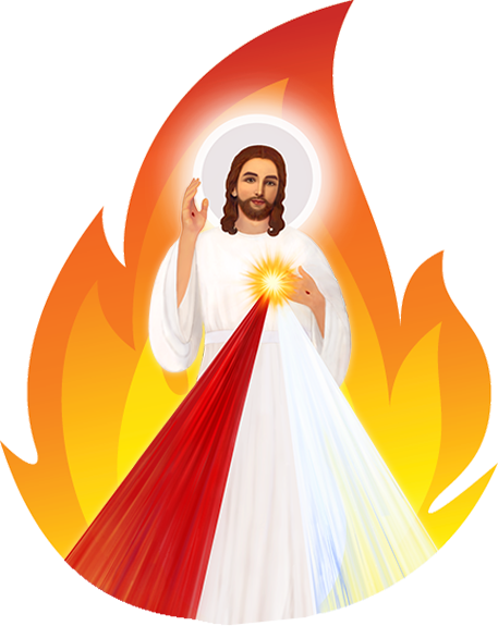 cfe3c337658a4.png