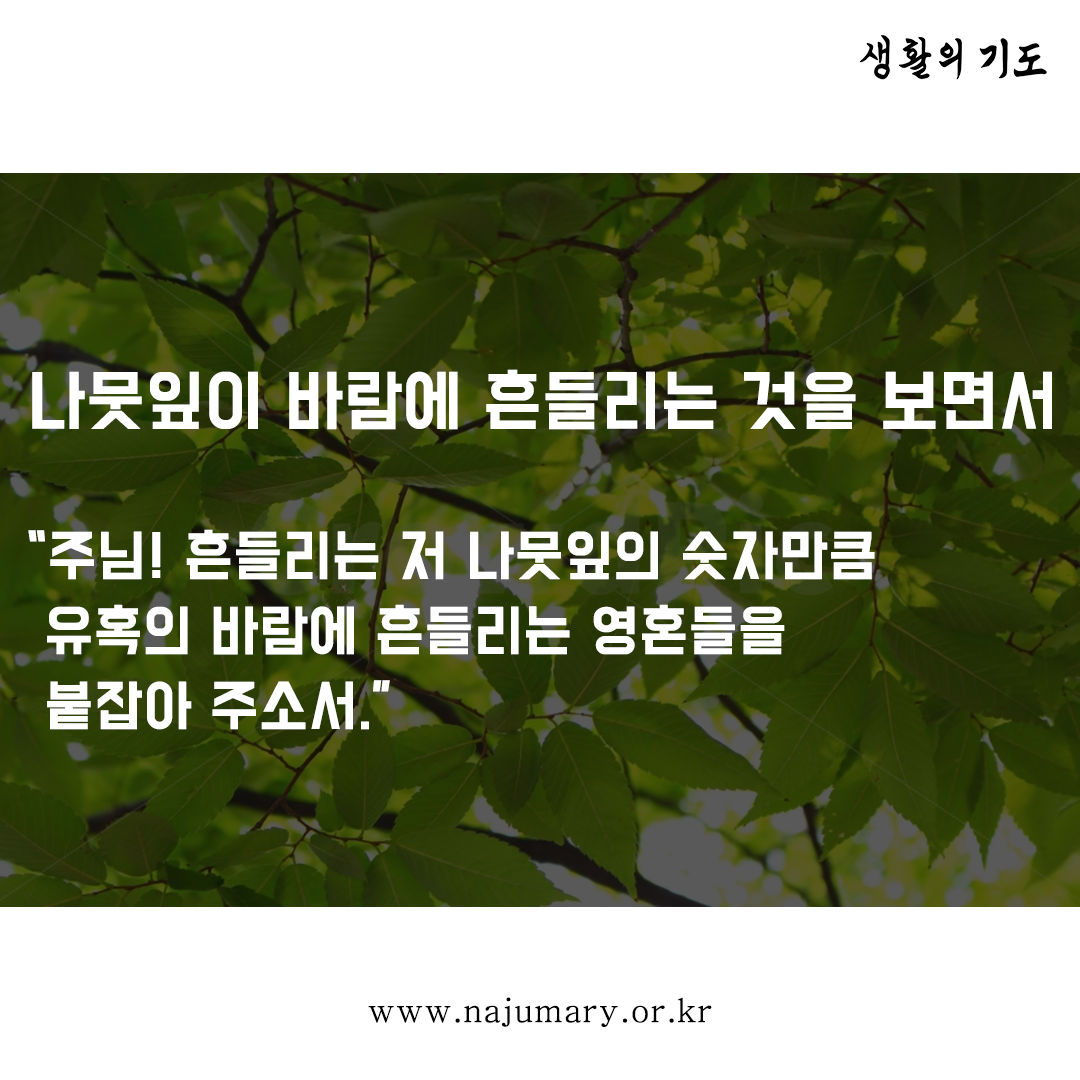 d089be94f0067.png