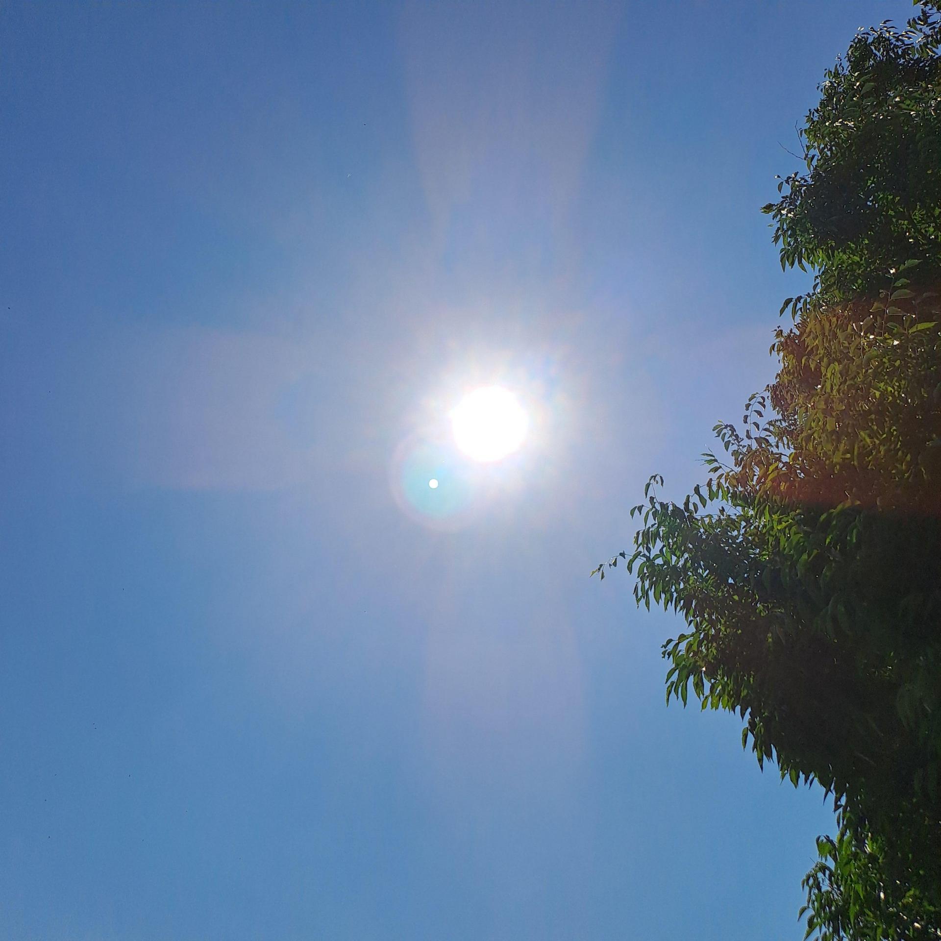 d328e7a6bea40.jpg