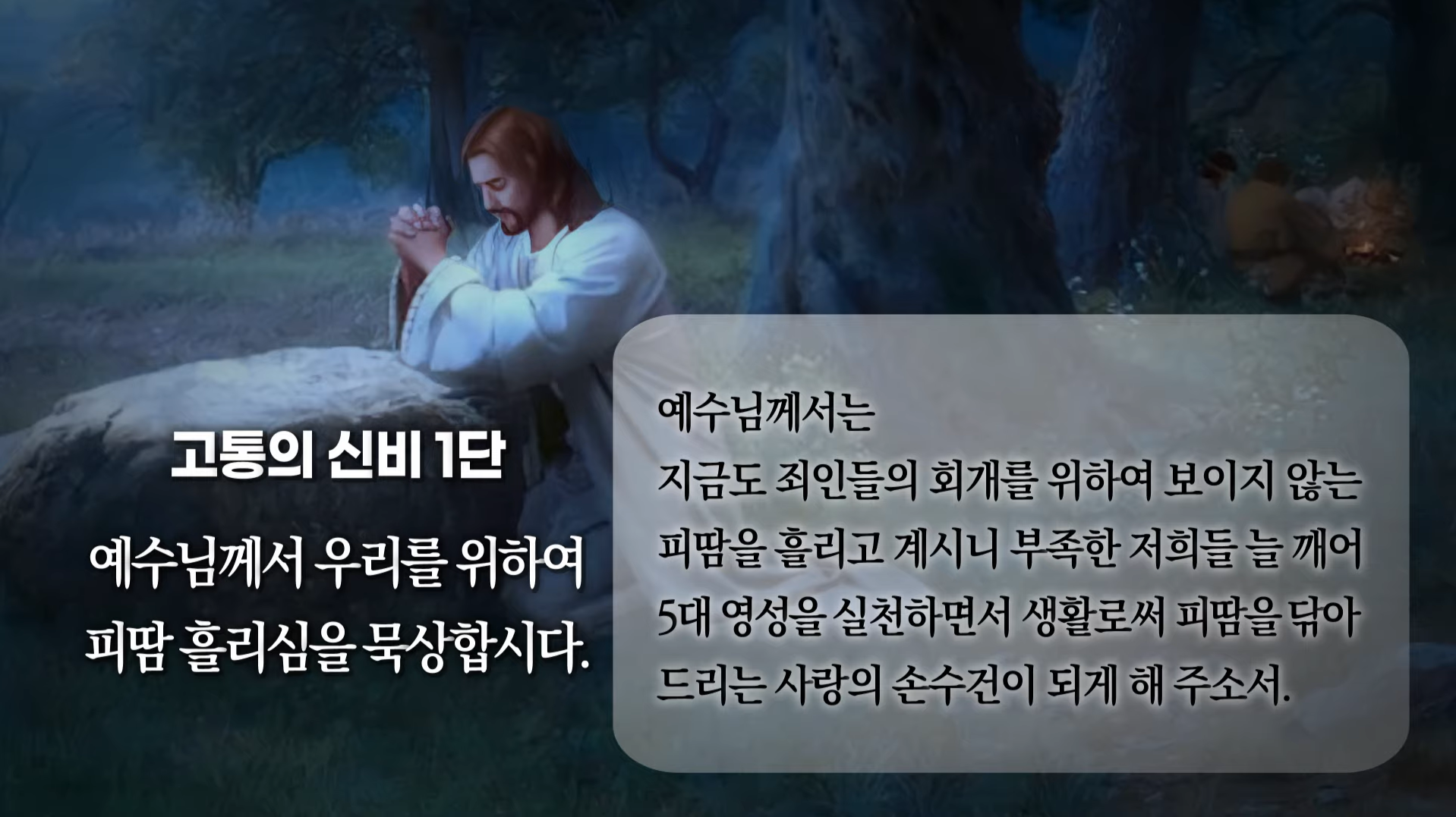 2022년 4월 대구지부 온라인 합동기도회 소식 : 나주 성모님께 받은 은총 등을 나누는 게시판 2022년 4월 대구지부 온라인 합동기도회 소식 : 나주 성모님께 받은 은총 등을 나누는 게시판