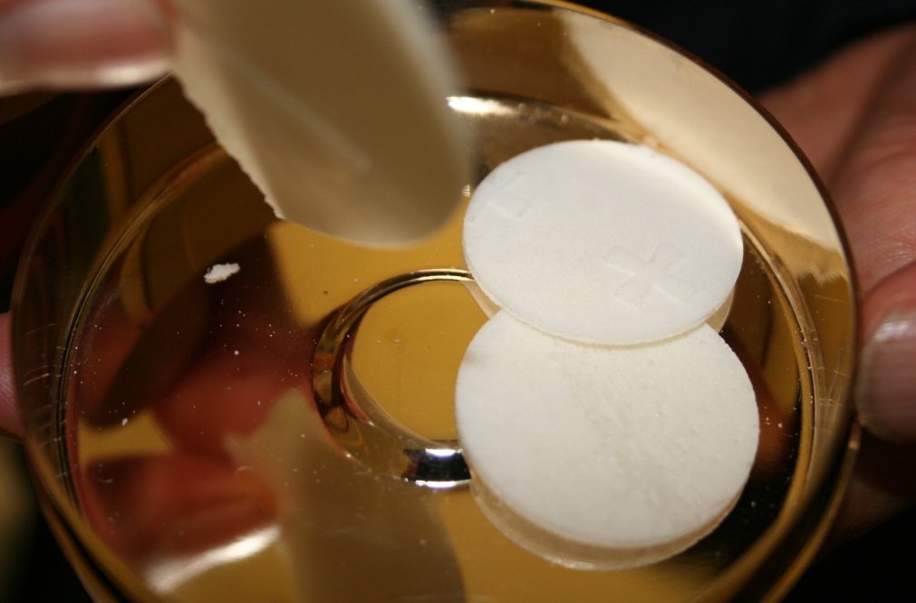 28ef962e4d847.jpg