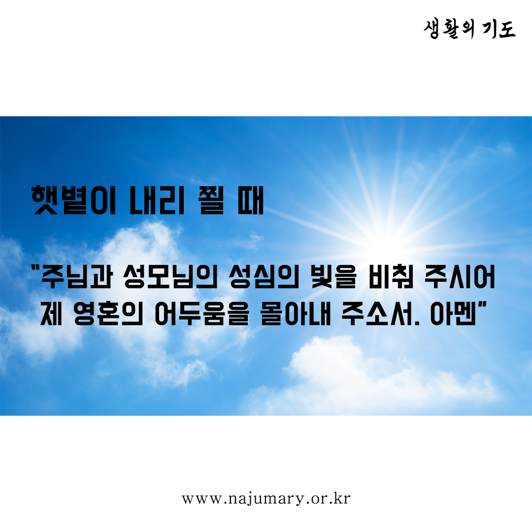 d544e497fa278.png