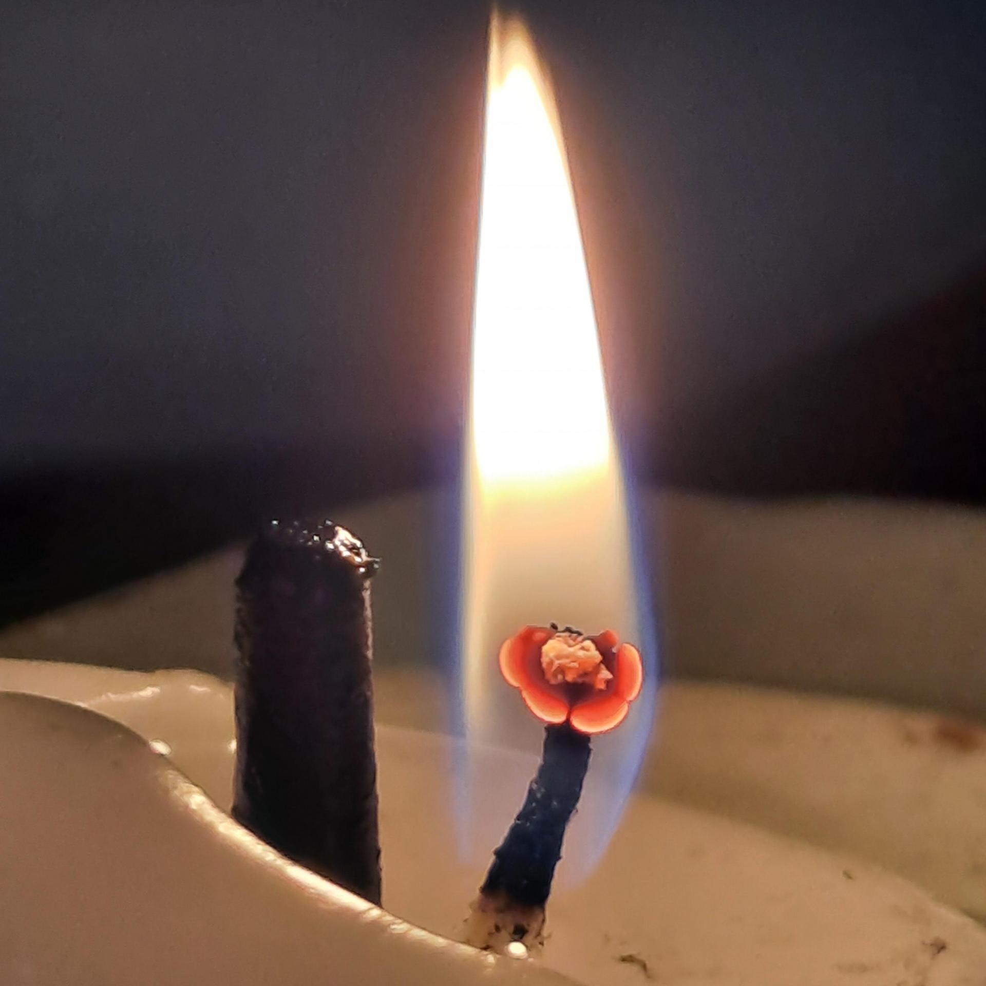 d6db6c2b13e57.jpg