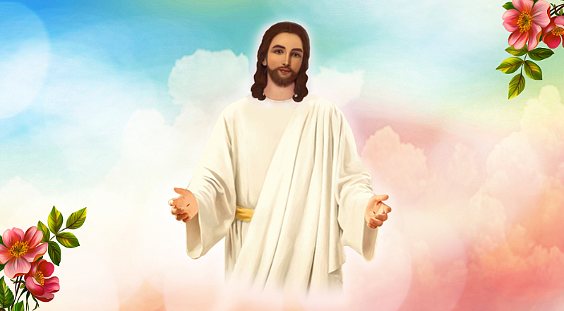 d9bdcc11f6169.png