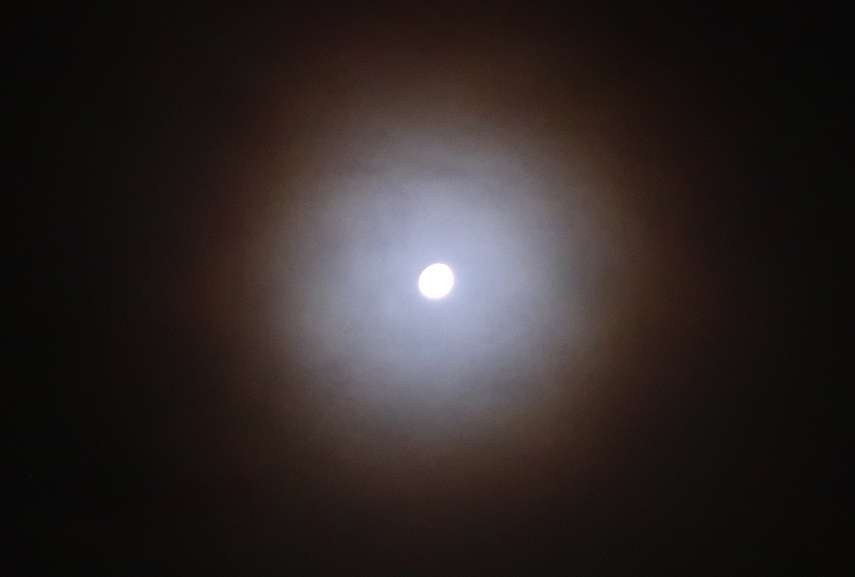 db575b313a5b2.png