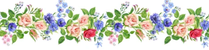 dba969203dd2a.png