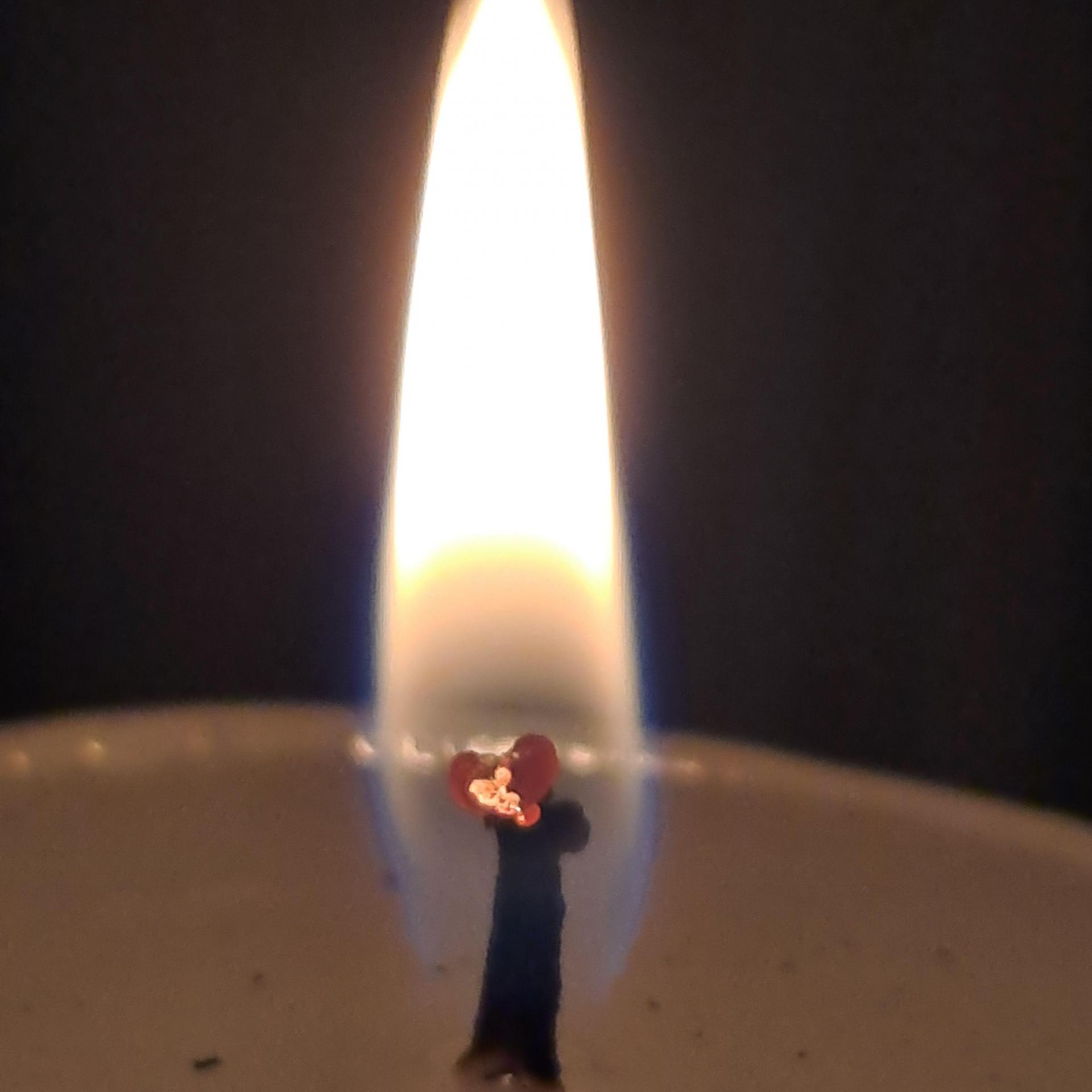 ddf3d5822844d.jpg
