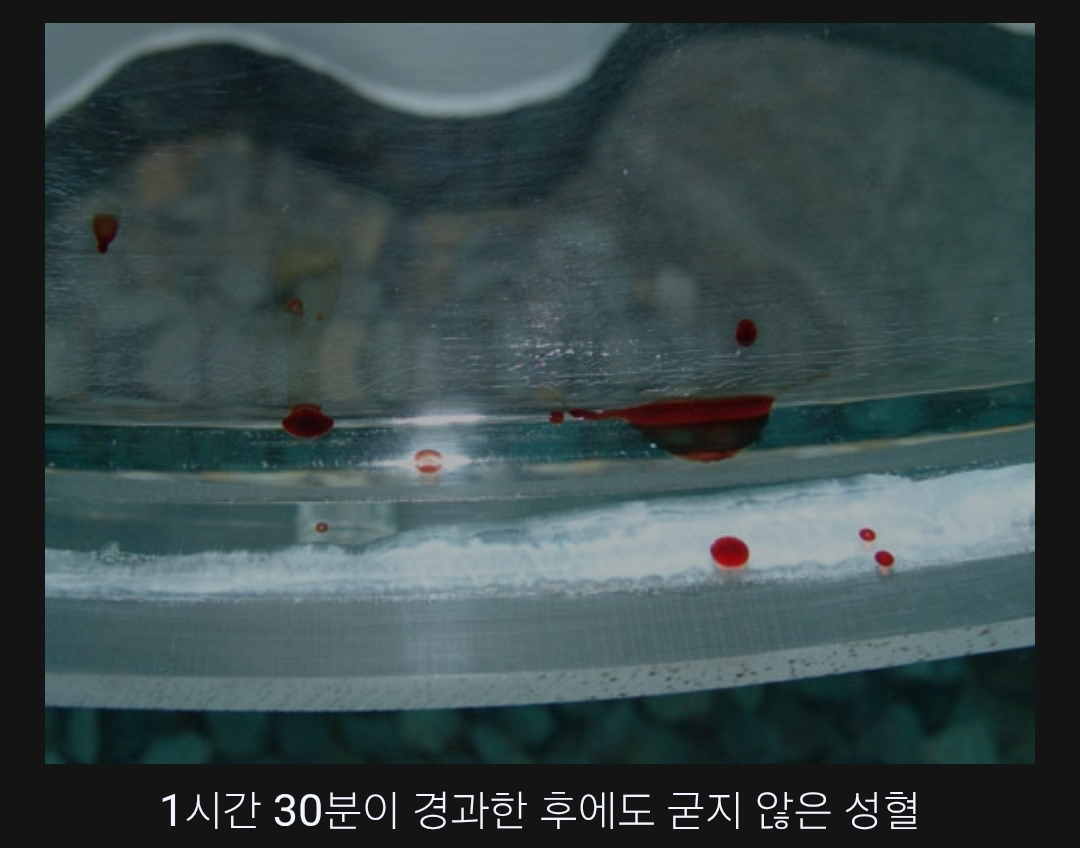 ded802744def3.png