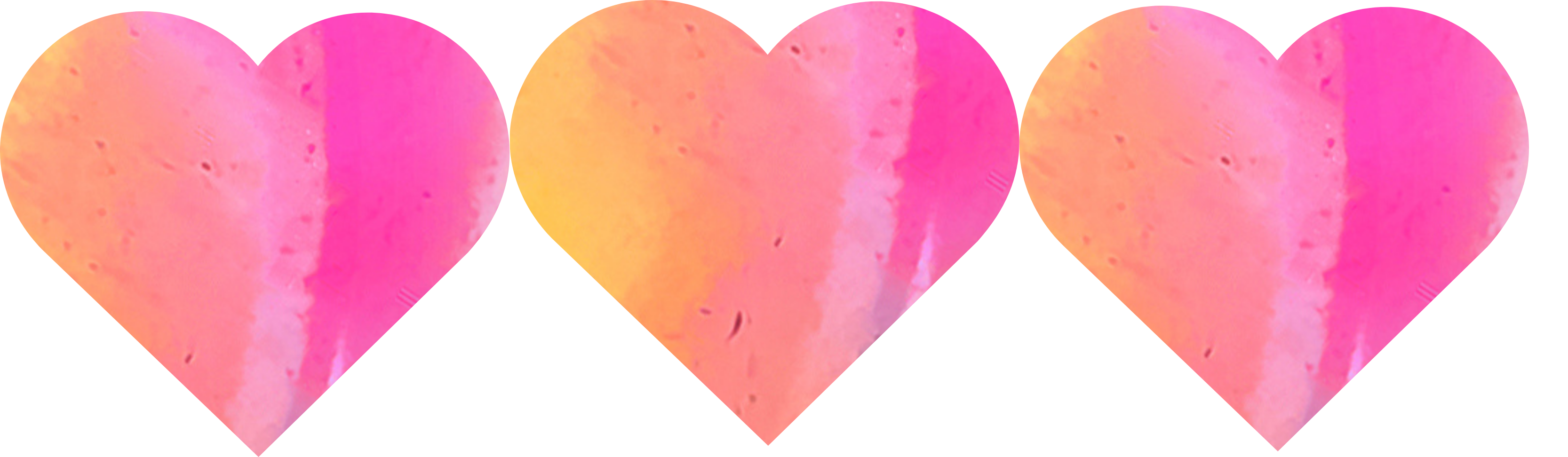 e0a9af9cd9b7b.png