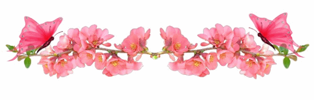 e435d13198349.png