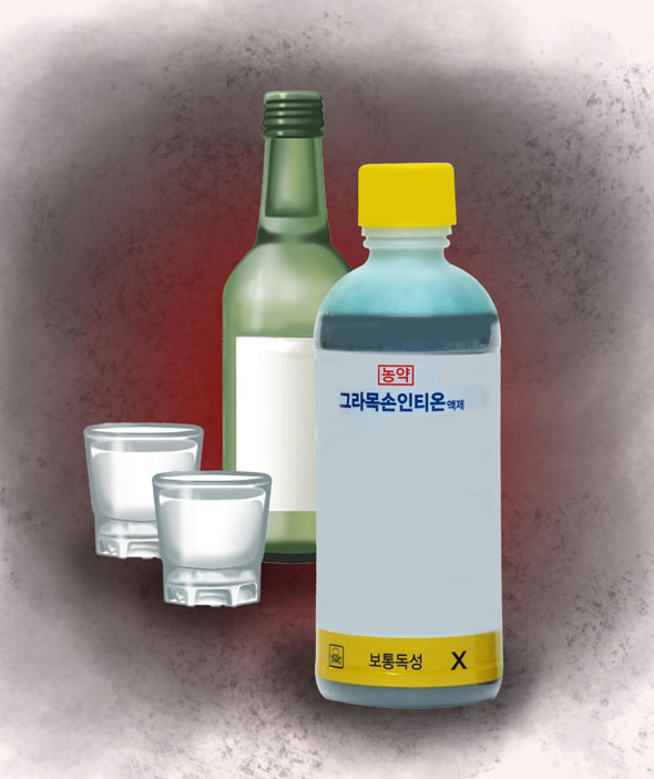 ed205564b67f8.png