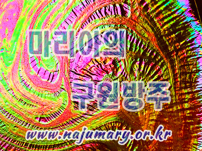 ee99024cd3d03.jpg