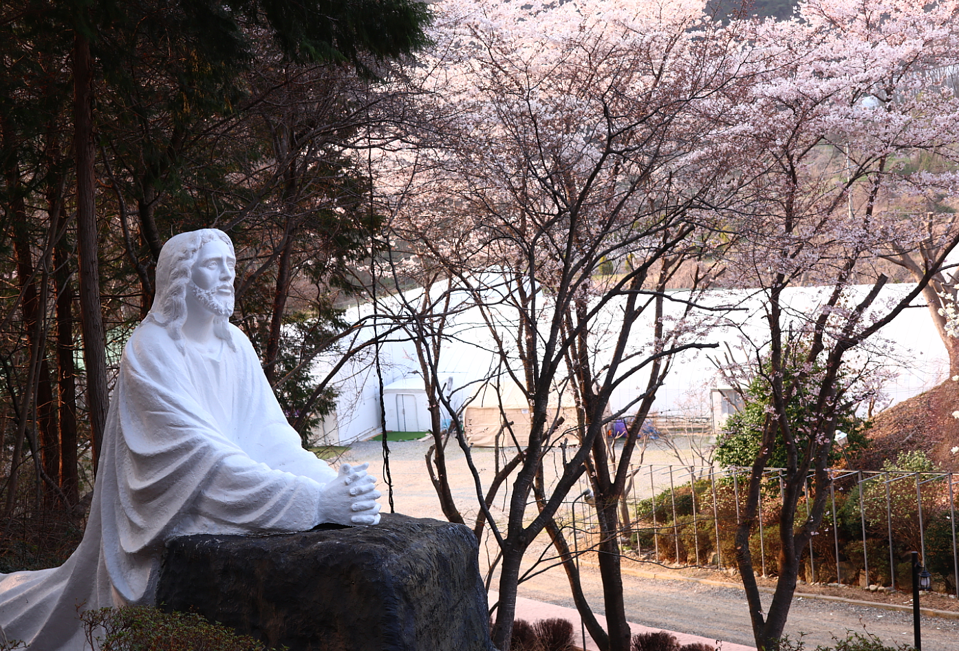 ef2923db5cb5d.png
