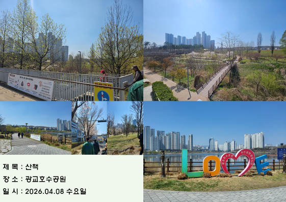 ccf0867f4fd22.png