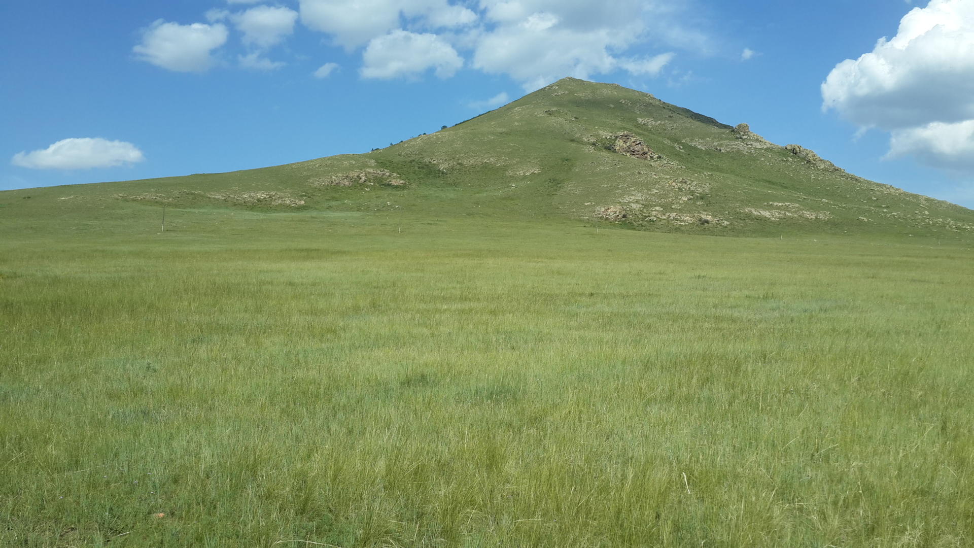 d1a020b8e73c7.jpg