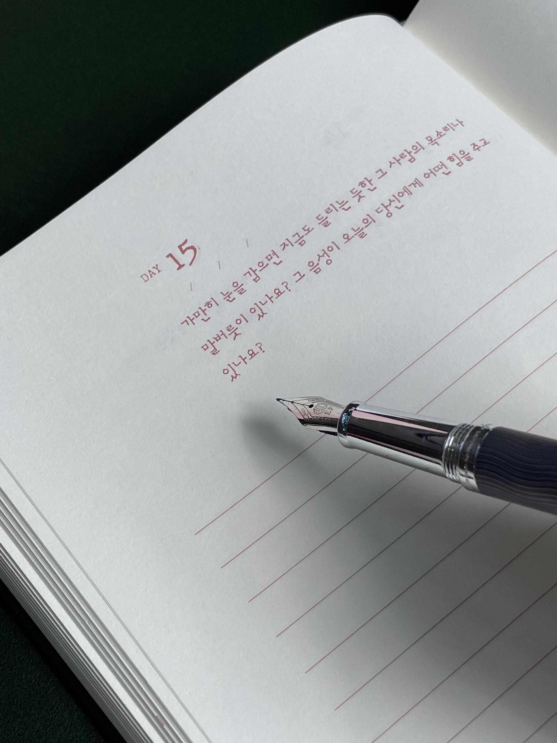 질문 지면
