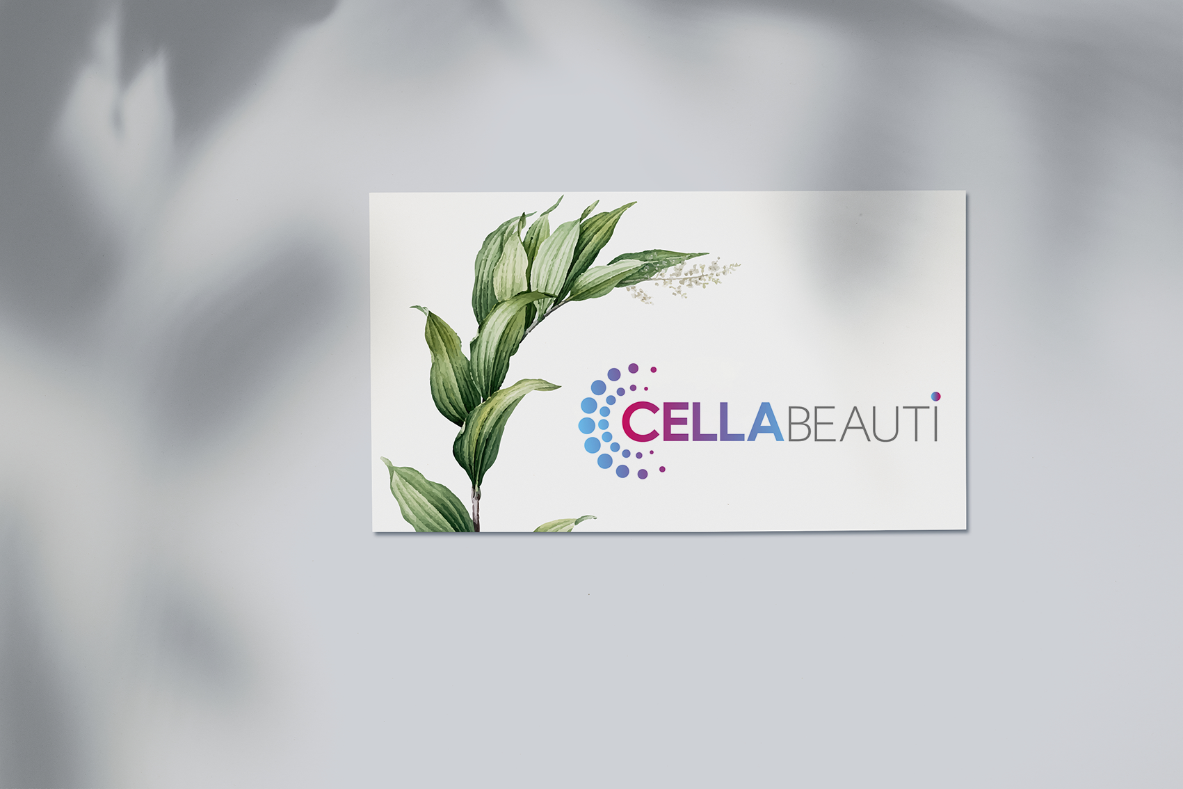 Cellabeauti Products