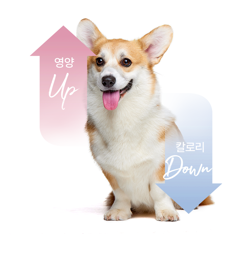 3e5f02f6739d7.png